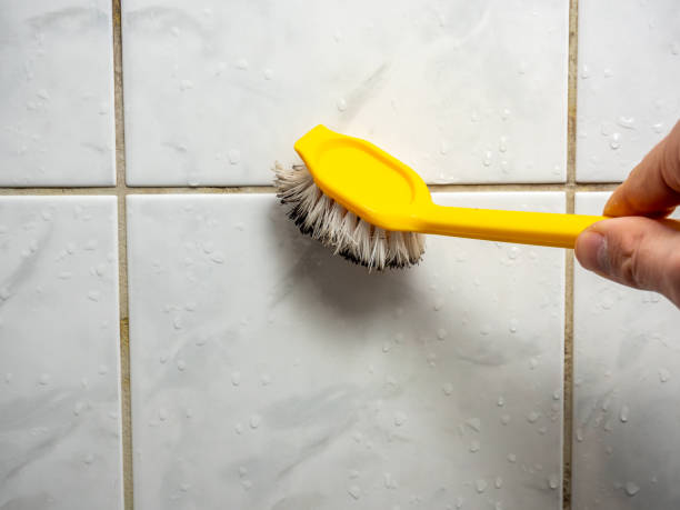 Best Mold Remediation  in Mount Gilead, NC