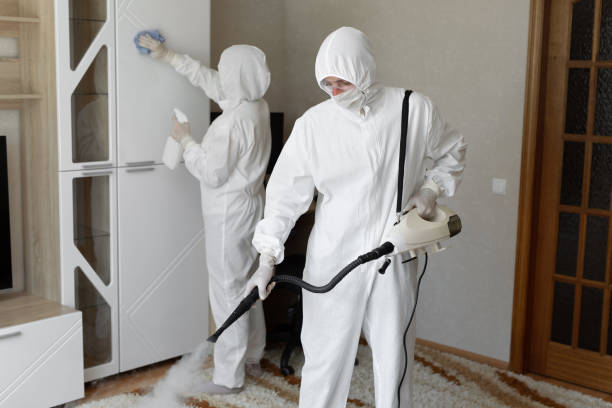 Mold Testing and Removal in Mount Gilead, NC