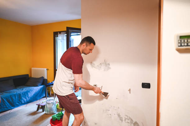 Best Mold Removal Process  in Mount Gilead, NC